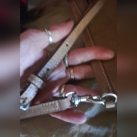 Frye crossbody.  Firm! No offers - Picture 13 of 13